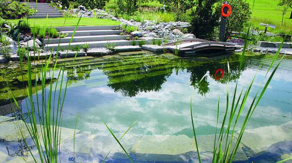 natural swimming pool